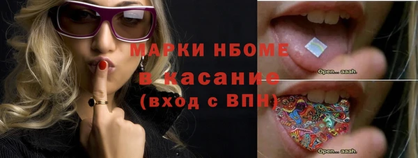 Альфа ПВП Гусев