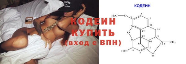 шишки Гусь-Хрустальный
