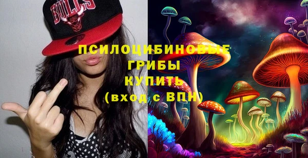Альфа ПВП Дмитров