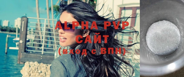 шишки Гусь-Хрустальный