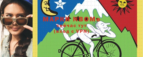 шишки Гусь-Хрустальный