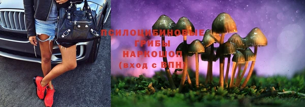 шишки Гусь-Хрустальный