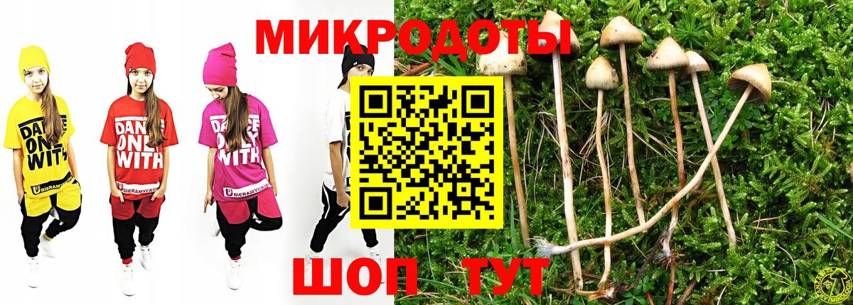 Череповец  Галлюциногенные грибы прущие грибы  Вход с VPN 